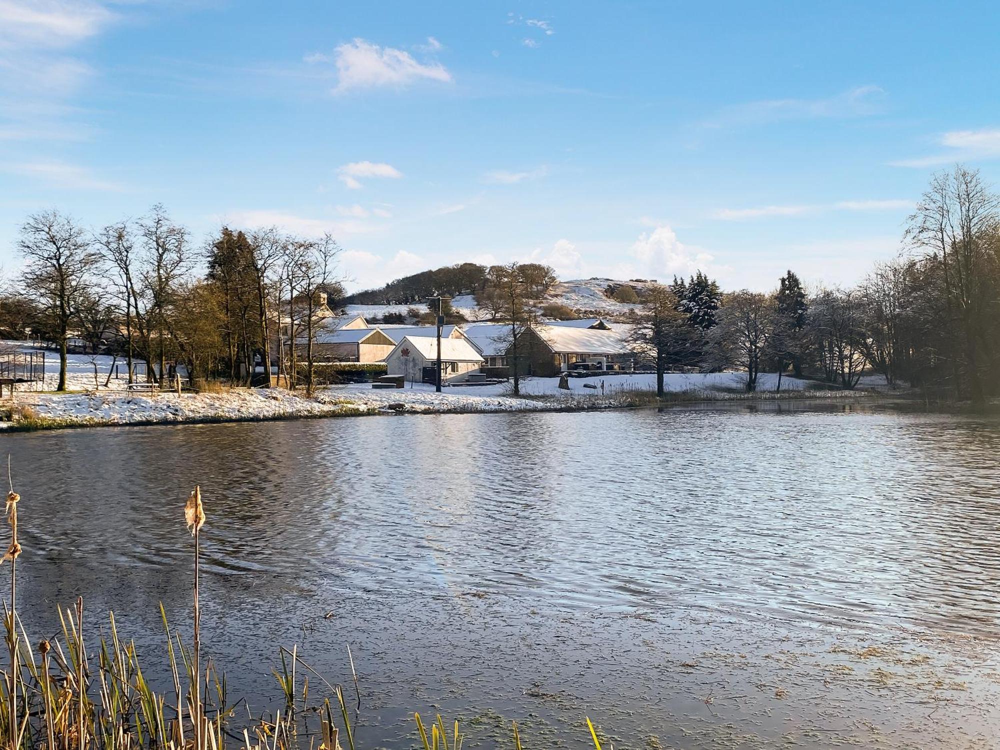 Kite Cottage Llandeilo Bagian luar foto